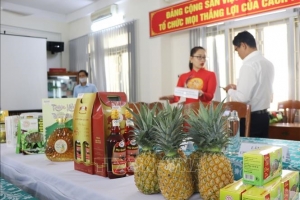 Huyện Tây Hòa (Phú Yên): Hướng dẫn cán bộ HTX lập dự án tiêu thụ nông sản