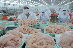 Thêm 6 nhà máy chế biến cá tra của Việt Nam được phép xuất khẩu sang Mỹ