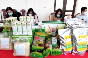 Yên Bái: Huyện Yên Bình thẩm định 7 sản phẩm đạt tiêu chuẩn OCOP 4 sao