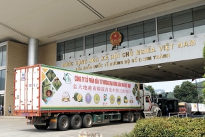 Lần đầu xuất khẩu chính ngạch quả sầu riêng qua Cửa khẩu Kim Thành