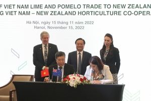 Thêm hai loại quả của Việt Nam được xuất khẩu sang New Zealand