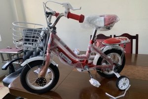 Lào Cai thu giữ lô xe đạp, xe đẩy trẻ em không có giấy tờ nhập khẩu