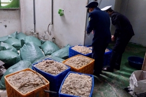 Bắc Giang tạm giữ gần 10 tấn thực phẩm đông lạnh không rõ nguồn gốc, xuất xứ