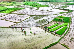 EVN hoàn thành tốt việc cấp nước phục vụ sản xuất nông nghiệp vụ Đông Xuân 2023