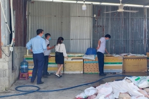 Phát hiện 5 tấn thịt, nội tạng lợn hôi thối tại cơ sở giết mổ ở Khánh Hòa