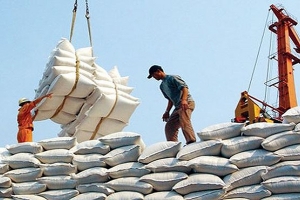 Indonesia nhập 2 triệu tấn gạo dự trữ, cơ hội cho doanh nghiệp Việt