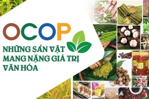 Ban hành tiêu chí điểm giới thiệu và bán sản phẩm OCOP