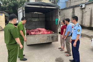 Hưng Yên ngăn chặn kịp thời 230 kg thịt lợn bốc mùi hôi thối đang đưa đi tiêu thụ