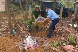 Ngăn chặn kịp thời phương tiện vận chuyển 3 tạ nội tạng động vật không rõ nguồn gốc