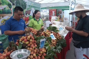Hà Nội: Đưa trái cây, nông sản có nguồn gốc rõ ràng đến với người dân Thủ đô