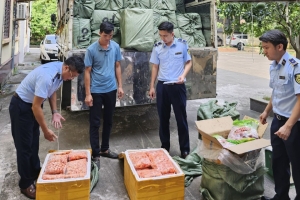 Bắc Ninh: Tạm giữ gần 3 tấn thịt vịt và trứng gà non đông lạnh