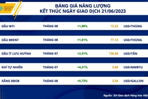 Triển vọng thị trường nhiên liệu sinh học chuyển dịch