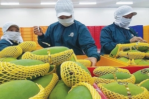 Các giải pháp nâng cao giá trị xuất khẩu nông sản Việt