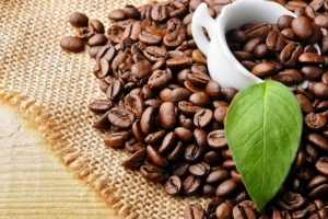 Giá cà phê hôm nay 29/09: Giá cà phê tại các tỉnh Tây Nguyên trung bình 66.200 đồng/kg