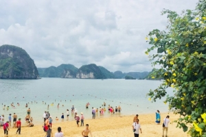 Tổng lượt khách du lịch đến Quảng Ninh ước đạt 12,060 triệu lượt khách