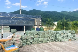 Biên phòng Quảng Ninh bắt giữ hơn 5 tấn nầm lợn không rõ nguồn gốc