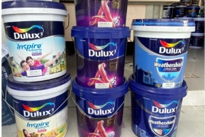 Long An: Một cửa hàng bán sản phẩm có dấu hiệu giả nhãn hiệu sơn DuLux