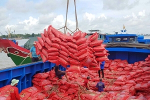 Thị trường xuất khẩu gạo tiếp tục giảm