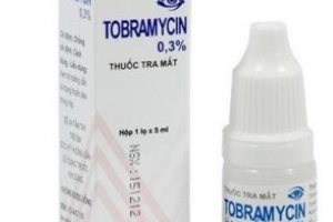 Kiểm tra việc lưu hành thuốc giả Tobramycin