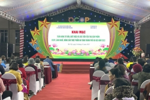 Hơn 1.000 sản phẩm OCOP góp mặt tại Tuần hàng tư vấn, giới thiệu sản phẩm OCOP, làng nghề huyện Thanh Trì