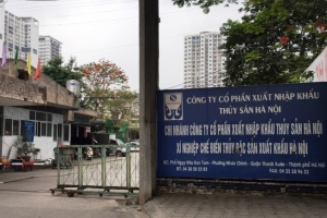 Công ty CP xuất nhập khẩu thủy sản Hà Nội bị xử phạt do vi phạm về thuế