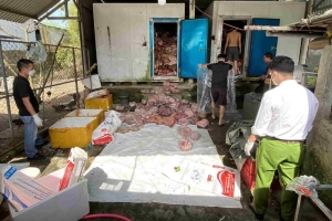 Phát hiện hơn 03 tấn thịt lợn, nội tạng lợn đông lạnh không rõ nguồn gốc, không bảo đảm vệ sinh an toàn thực phẩm