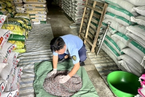 Kiên Giang: Đề nghị xử phạt trên 140 triệu đồng đối với hộ kinh doanh phân bón không đạt chất lượng