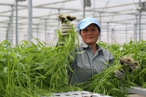 Kích cầu nông sản sạch tại thị trường Hà Nội