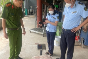 Lào Cai: Ngăn chặn, xử lý kịp thời trên 1 tấn nầm lợn đông lạnh, không rõ nguồn gốc, xuất xứ
