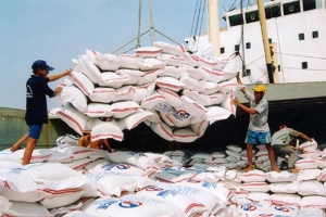 Hoàn thiện pháp lý, tạo môi trường kinh doanh minh bạch cho thương nhân xuất khẩu gạo