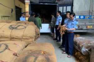 Lạng Sơn: Tạm giữ gần 15 tấn nguyên liệu thuốc lá không rõ nguồn gốc xuất xứ