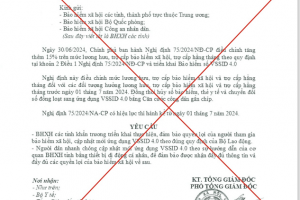 Cảnh giác giả mạo văn bản của BHXH Việt Nam về cập nhật VssID 4.0