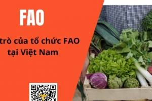 Tổng Giám đốc FAO đánh giá cao thành tựu xoá đói giảm nghèo, nâng cao đời sống, phát triển nông nghiệp của Việt Nam