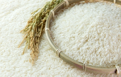 Xuất khẩu lô hàng gạo thơm sang EU theo EVFTA