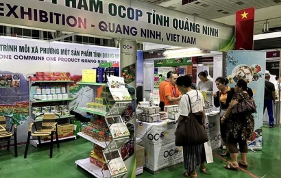 Hà Tĩnh: 12 gian hàng giới thiệu, bày bán tại Hội chợ OCOP Quảng Ninh - hè 2022