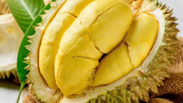 Sau Rae Giá sầu riêng hôm nay 3/12: Tăng mạnh trở lại