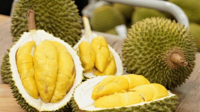Sầu riêng Việt trước cơ hội bứt phá, nhưng không thể chỉ dựa vào sản lượng - hangthat.thuonghieucongluan.com.vn