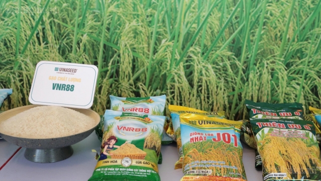 Bảo đảm nguồn cung nông sản, thực phẩm thiết yếu - hangthat.thuonghieucongluan.com.vn