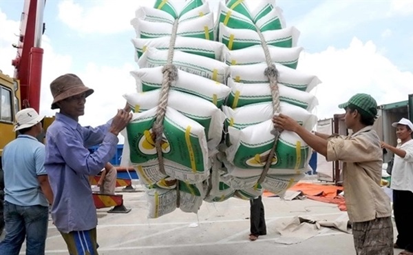 Trung Quốc tăng mua gạo nếp từ Việt Nam