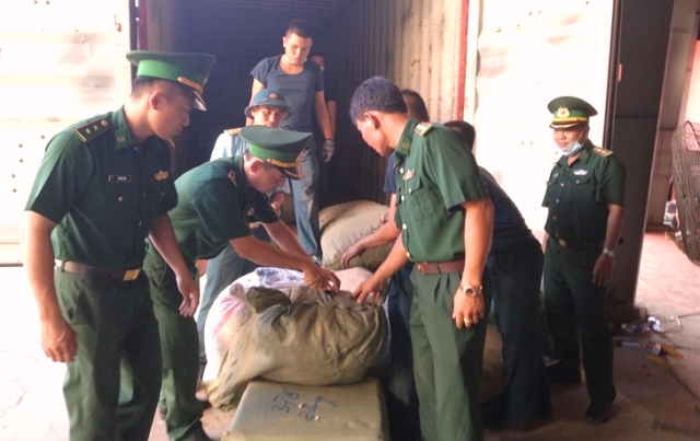 Đà Nẵng: Phát hiện hơn 100 tấn dược liệu “đội lốt” hàng nông sản cập cảng Tiên Sa