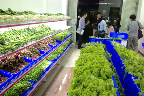 Từ hôm nay (12/8), giảm 10% các loại phí thẩm định về an toàn thực phẩm