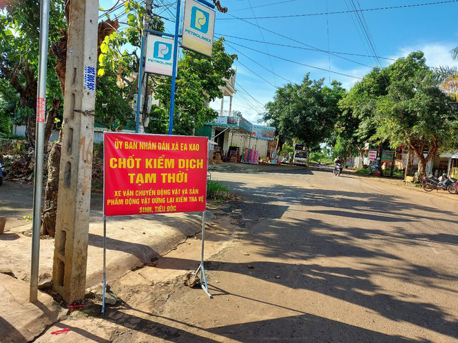 Vừa hết cách ly do dịch Covid-19, TP. Buôn Ma Thuột công bố dịch cúm gia cầm
