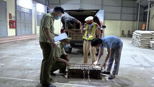 Lạng Sơn: Thu lượng lớn trứng côn trùng in chữ Trung Quốc