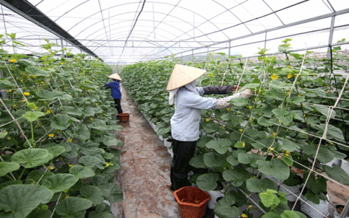 CPI tháng Tám tăng 0,07%