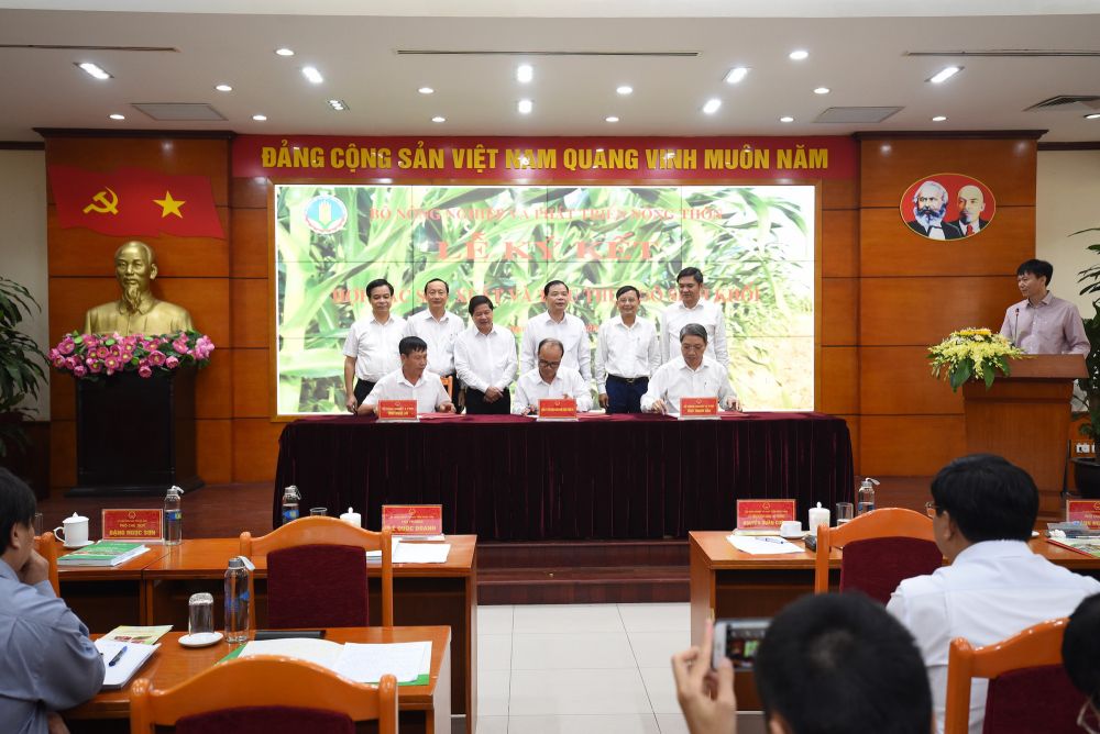 Ký hợp tác tiêu thụ ngô sinh khối