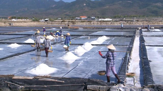 Xây dựng nhãn hiệu hàng hóa cho mặt hàng muối xuất khẩu