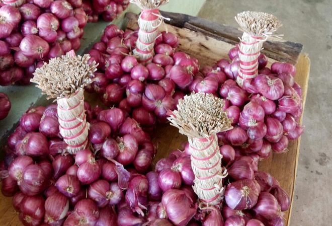 Hành tím Sóc Trăng có chỉ dẫn địa lý