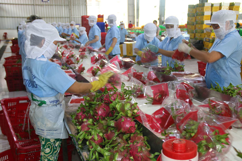 Trái cây Việt chuẩn bị “ồ ạt” vào EU theo EVFTA