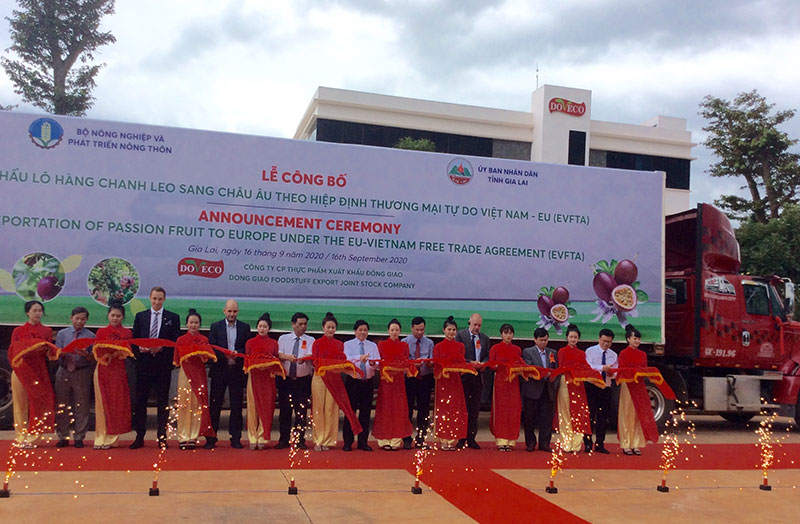 Xuất khẩu lô hàng chanh leo đầu tiên sang châu Âu theo EVFTA