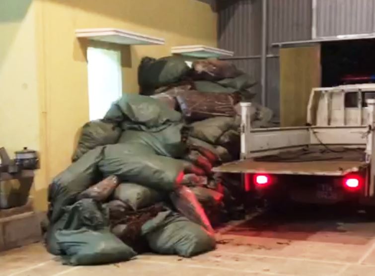 Cao Bằng: Thu giữ hơn 18 tấn thuốc lá lá nhập lậu